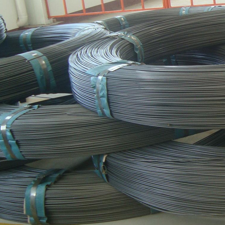 彈簧鋼(gāng) (8)